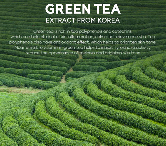 FENYI Green Tea Cleansing Milk and Moisturizer