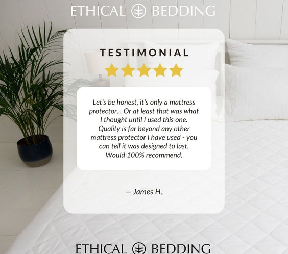 Bamboo Mattress Protector (Eucalyptus & Bamboo)-4